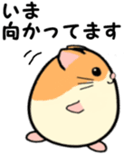 Ham Tama Everyday sticker #2305303