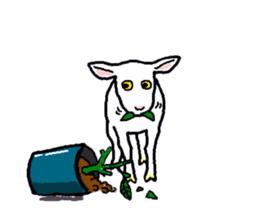 Goats sticker #2305670