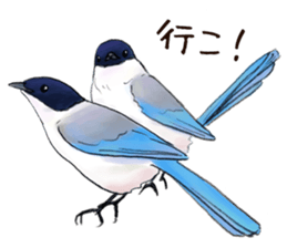 Japanese bird sticker #2309425