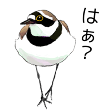 Japanese bird sticker #2309428