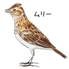 Japanese bird sticker #2309429