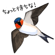 Japanese bird sticker #2309430