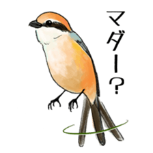 Japanese bird sticker #2309431