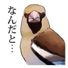 Japanese bird sticker #2309432