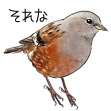 Japanese bird sticker #2309437