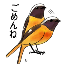 Japanese bird sticker #2309441