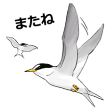 Japanese bird sticker #2309443