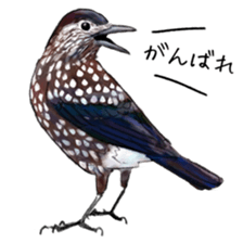 Japanese bird sticker #2309444