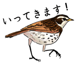 Japanese bird sticker #2309446