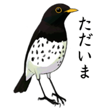 Japanese bird sticker #2309447