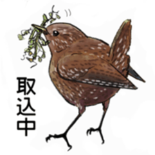 Japanese bird sticker #2309448