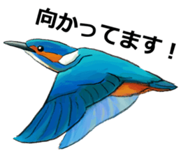 Japanese bird sticker #2309449