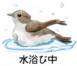 Japanese bird sticker #2309450