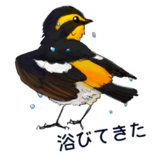 Japanese bird sticker #2309451