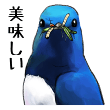 Japanese bird sticker #2309457