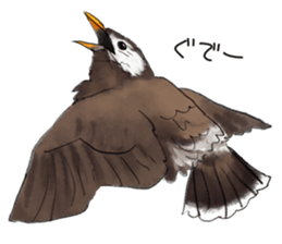 Japanese bird sticker #2309462