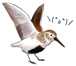 Japanese bird sticker #2309463