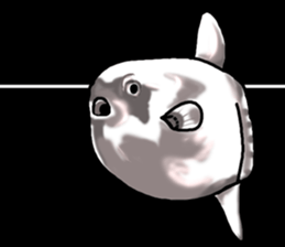 Cartoonish sunfish sticker #2309471