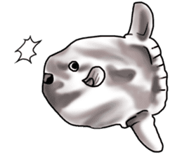 Cartoonish sunfish sticker #2309473