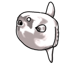 Cartoonish sunfish sticker #2309479