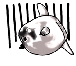 Cartoonish sunfish sticker #2309481