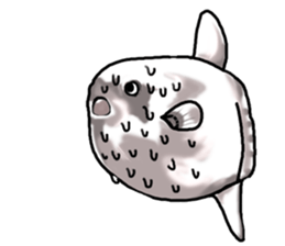 Cartoonish sunfish sticker #2309484