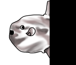 Cartoonish sunfish sticker #2309491