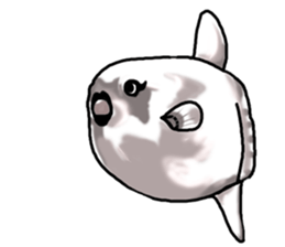 Cartoonish sunfish sticker #2309493