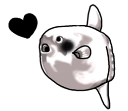 Cartoonish sunfish sticker #2309494