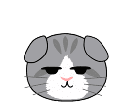 Cat's Stickers (Scottish Fold) sticker #2310949