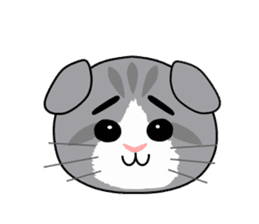 Cat's Stickers (Scottish Fold) sticker #2310951