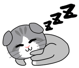 Cat's Stickers (Scottish Fold) sticker #2310959