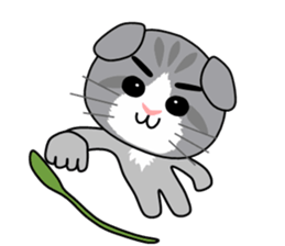 Cat's Stickers (Scottish Fold) sticker #2310970