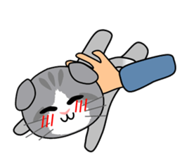 Cat's Stickers (Scottish Fold) sticker #2310979