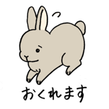 polite bunnies sticker #2311712