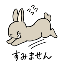 polite bunnies sticker #2311714