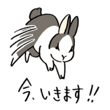 polite bunnies sticker #2311717