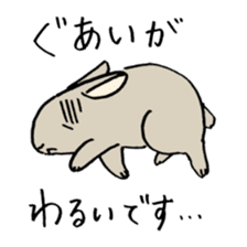 polite bunnies sticker #2311718