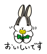polite bunnies sticker #2311720