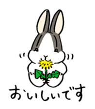 polite bunnies sticker #2311720