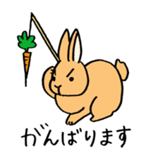polite bunnies sticker #2311721