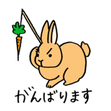 polite bunnies sticker #2311721