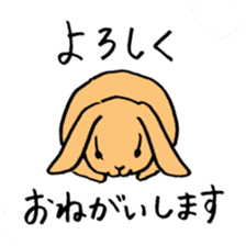 polite bunnies sticker #2311728