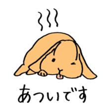 polite bunnies sticker #2311737