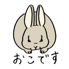 polite bunnies sticker #2311738