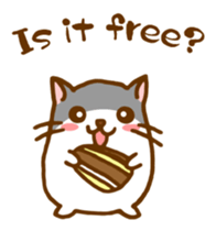 The hamster invites to various events sticker #2311872