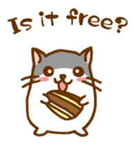 The hamster invites to various events sticker #2311872