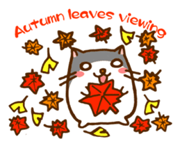 The hamster invites to various events sticker #2311896