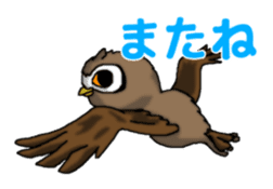 Horned owl sticker #2312038
