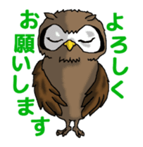 Horned owl sticker #2312040